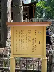 三峯神社(埼玉県)