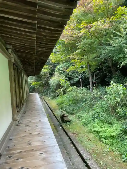 浄瑠璃寺(京都府)