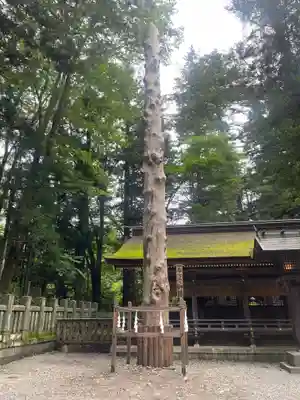 諏訪大社下社春宮(長野県)