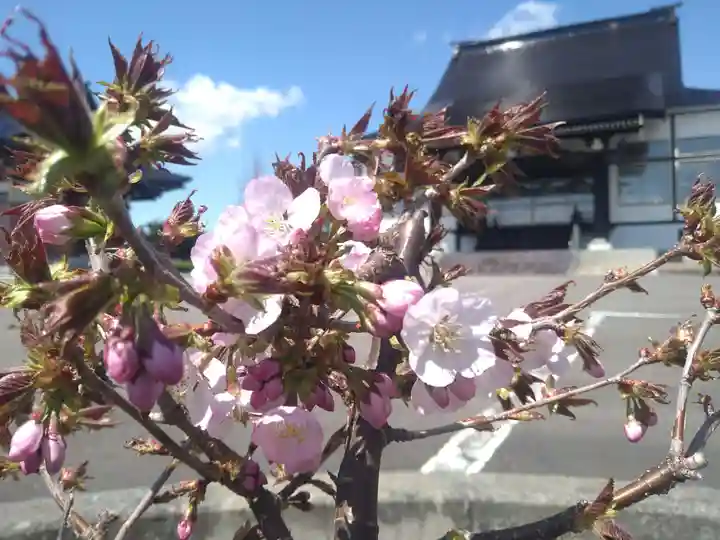 雨竜 専福寺(北海道)
