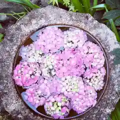 伊勢の国 四天王寺の手水