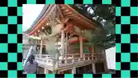 川越氷川神社(埼玉県)