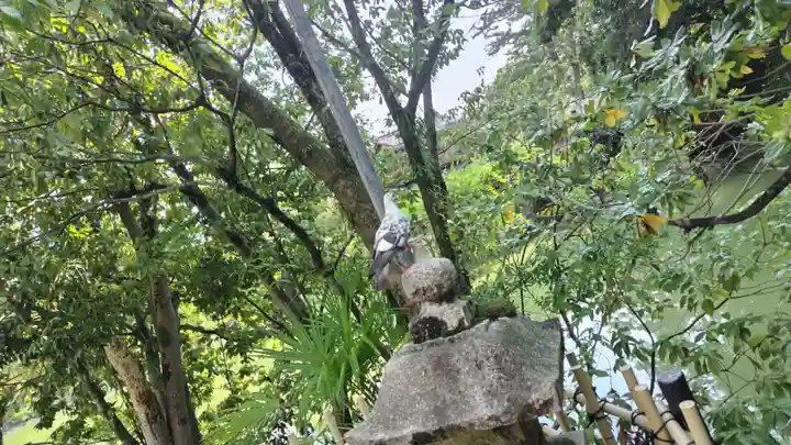 嚴島神社 (京都御苑)(京都府)