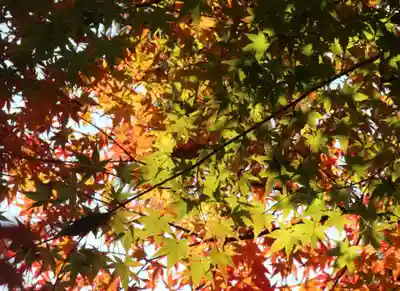 国宝 大法寺(長野県)