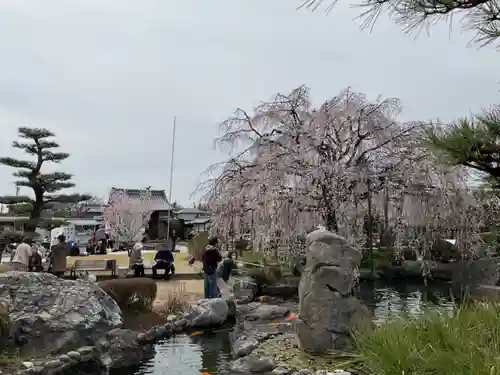 正眼寺(愛知県)