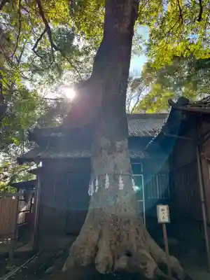 氷川女體神社(埼玉県)