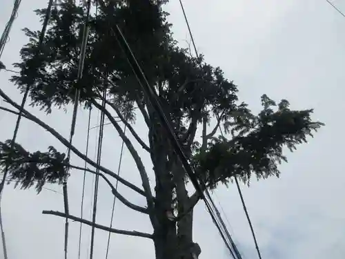 妙行寺(東京都)