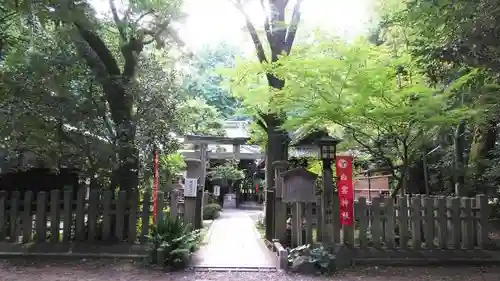 白雲神社の鳥居