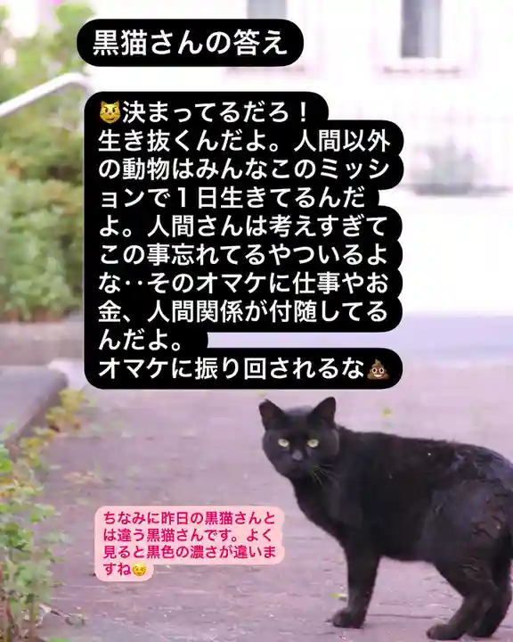 専念寺(大阪府)