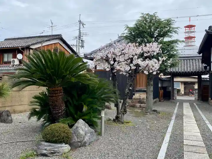 行住院(京都府)