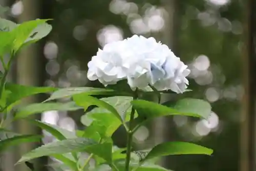 田村神社の自然