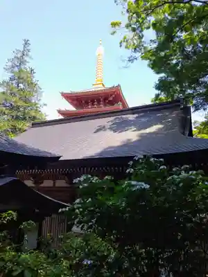 高幡不動尊　金剛寺(東京都)