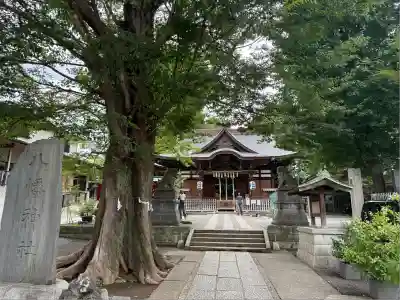 滝野川八幡神社(東京都)