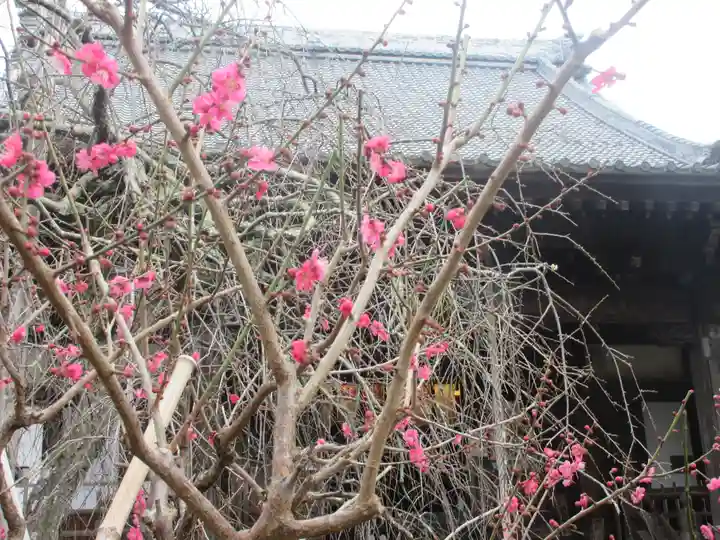 宝戒寺(神奈川県)
