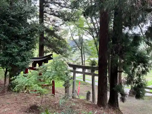 大宮温泉神社の鳥居