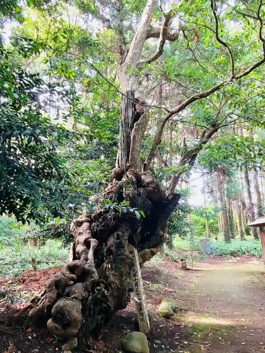 大生神社(茨城県)