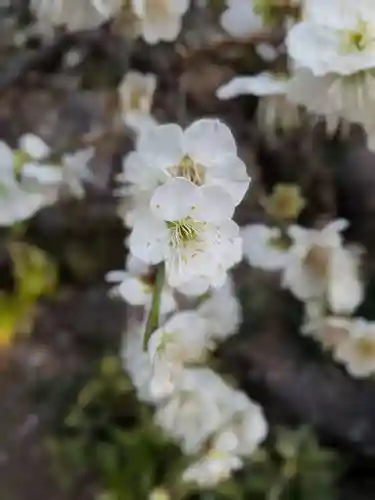松應寺(東京都)