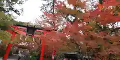 鍬山神社の鳥居