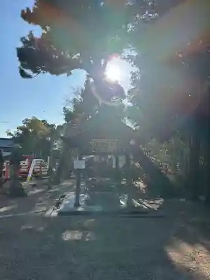 住吉大社(大阪府)