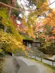 法然院(京都府)