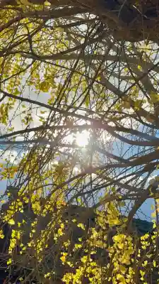 和田神社(滋賀県)