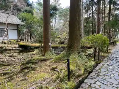 法然院(京都府)