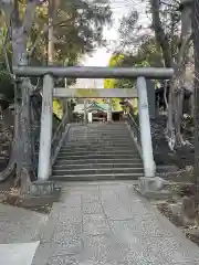 中野氷川神社の鳥居