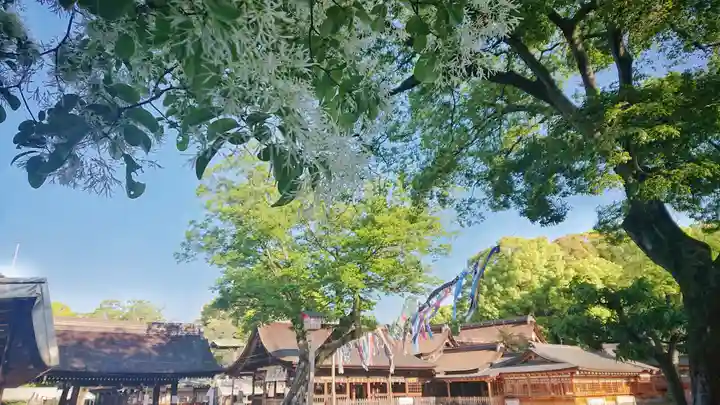 尾張大國霊神社(国府宮)の自然
