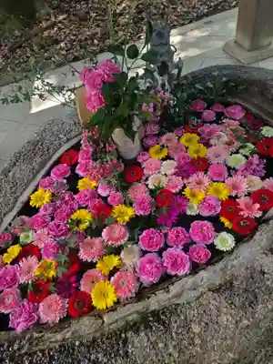 井伊谷宮の手水舎