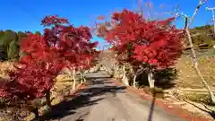 加茂神社(滋賀県)