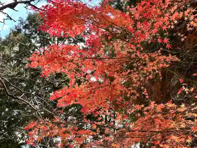箸蔵寺(徳島県)