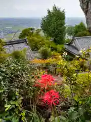 金生山 明星輪寺(岐阜県)