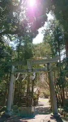 五所駒瀧神社(茨城県)