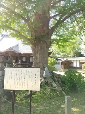龍蔵寺(埼玉県)