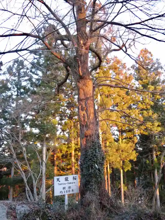 石都々古和気神社の自然