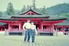 厳島神社の本殿