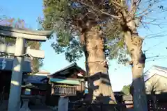 日吉御田神社の自然