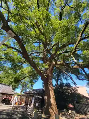 高忍日賣神社(愛媛県)