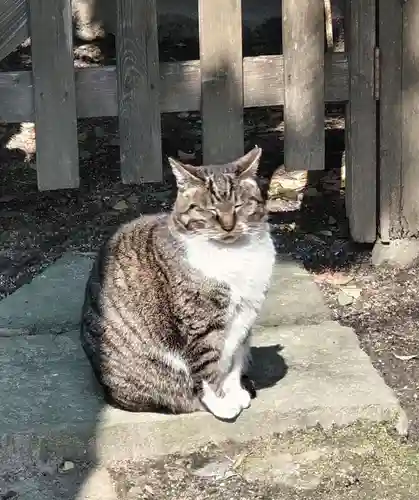 阿邪訶根神社(福島県)
