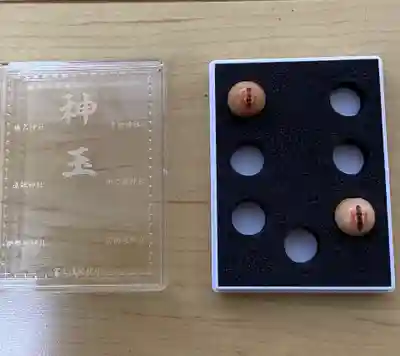 前橋東照宮の御朱印