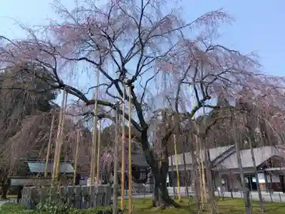 足羽神社(福井県)