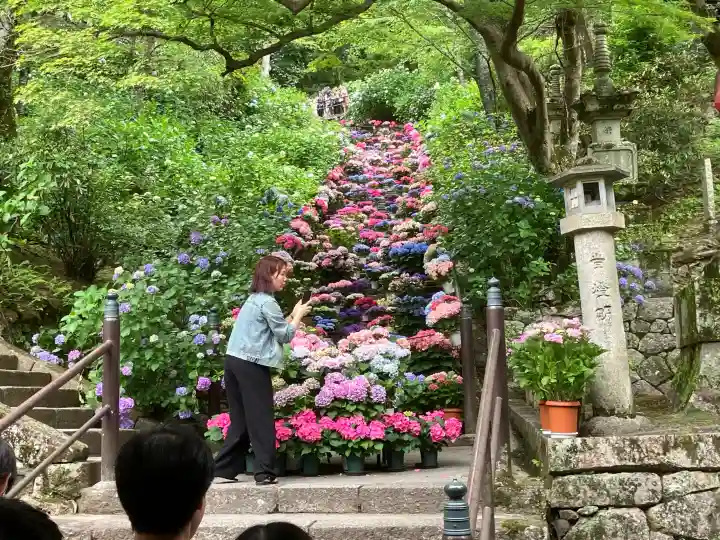 長谷寺(奈良県)