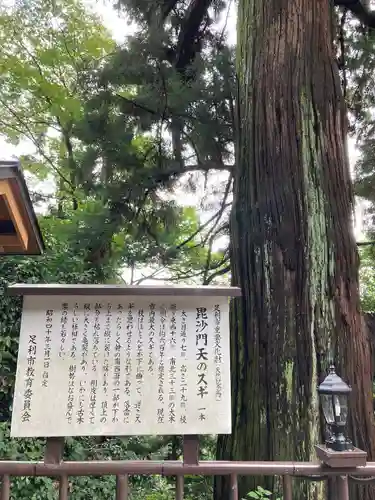  大岩山 最勝寺の自然