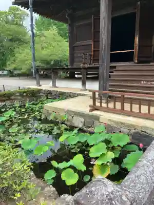 道成寺(和歌山県)