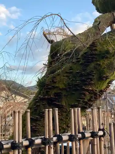 氷室神社の自然