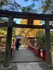 武蔵一宮氷川神社(埼玉県)