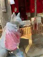 時切稲荷神社(岡山県)