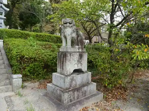 椿八幡宮の狛犬