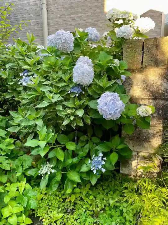 妙正寺(栃木県)