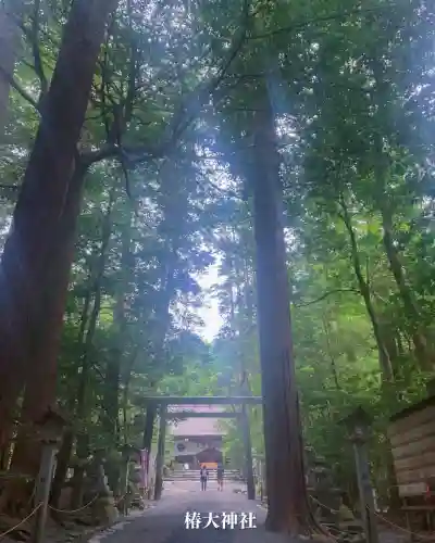 椿大神社(三重県)